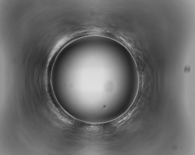 X0000090760102200707201511