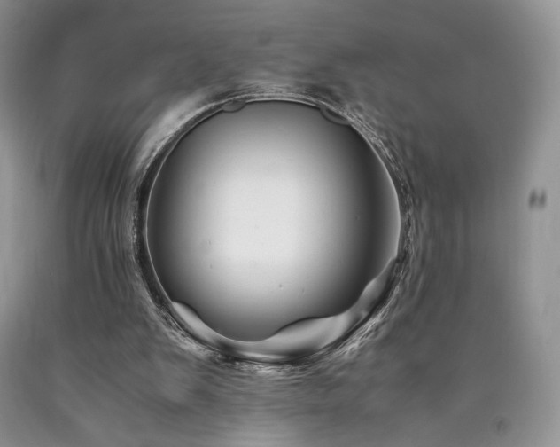 X0000090760103200707201511