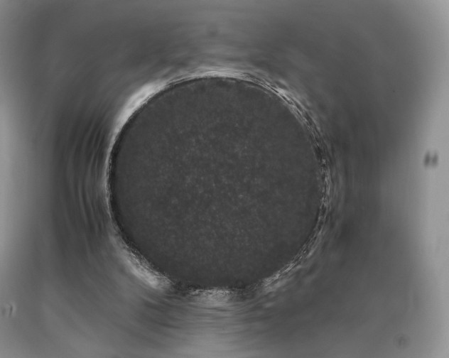 X0000090760104200707201511