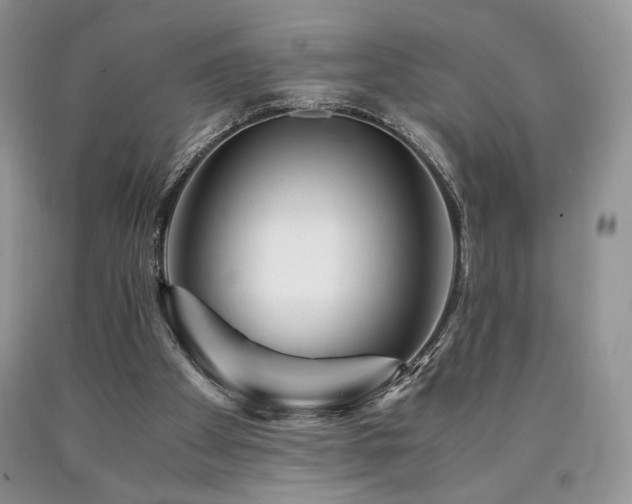 X0000090760105200707201511