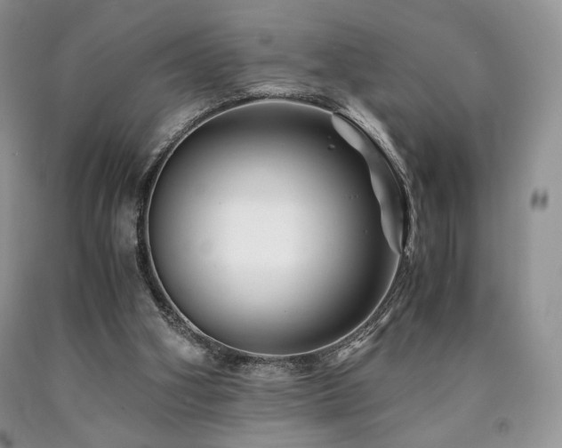 X0000090760106200707201511