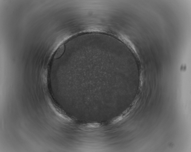 X0000090760108200707201511