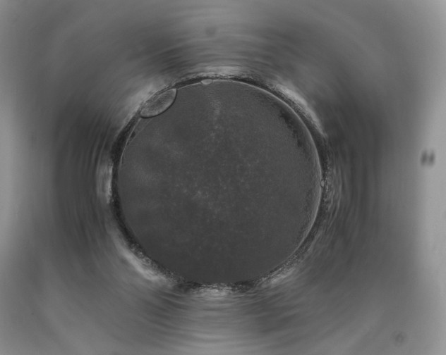 X0000090760110200707201511