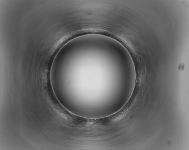 X0000090760111200707201511