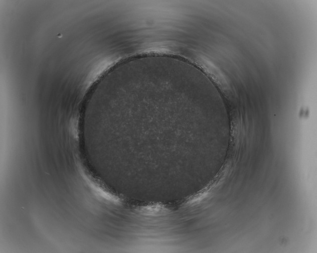 X0000090760112200707201511