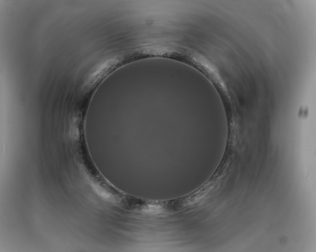 X0000090760114200707201511