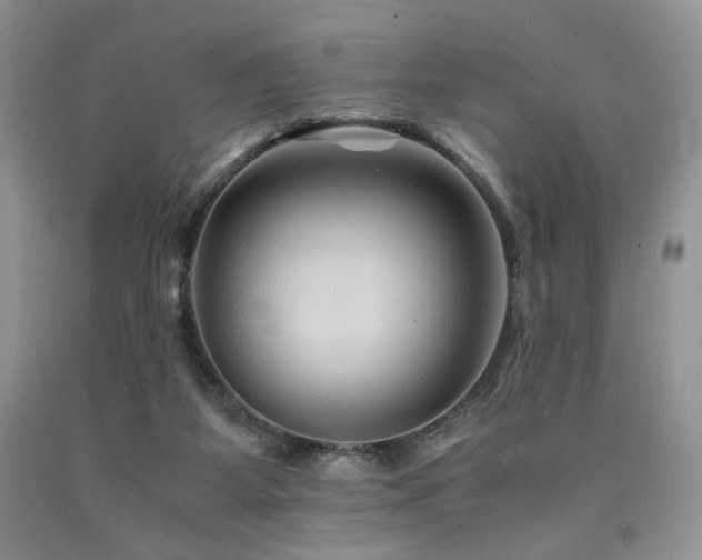 X0000090760115200707201511