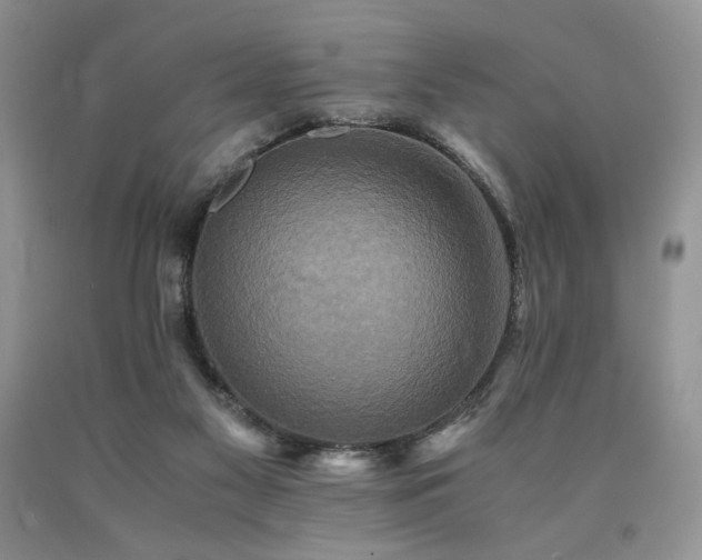 X0000090760117200707201511