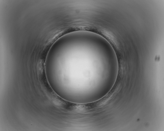 X0000090760121200707201511