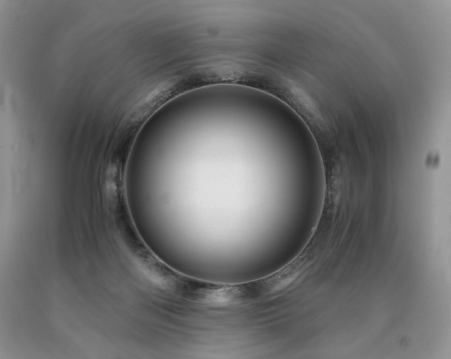 X0000090760122200707201511