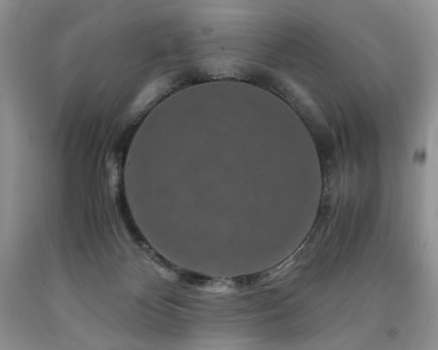 X0000090760124200707201511