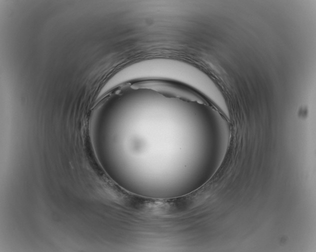 X0000090760125200707201511