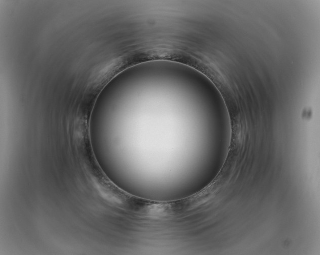 X0000090760126200707201511