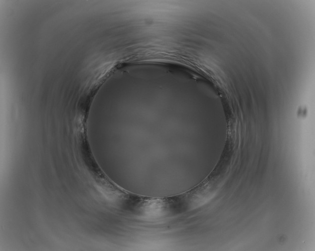 X0000090760127200707201511