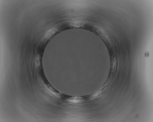 X0000090760128200707201511