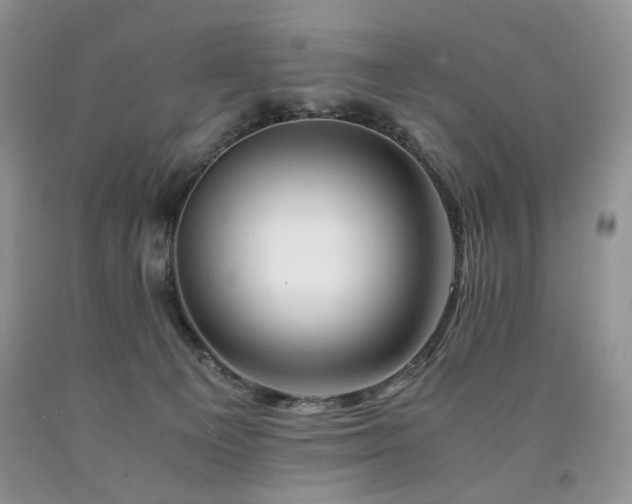 X0000090760129200707201511