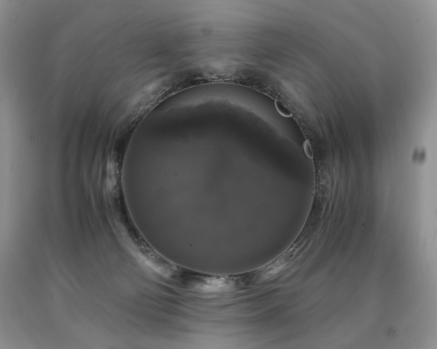 X0000090760130200707201511