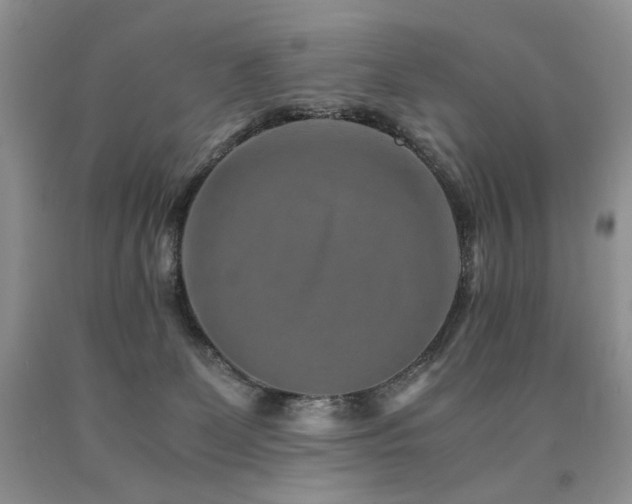 X0000090760131200707201511