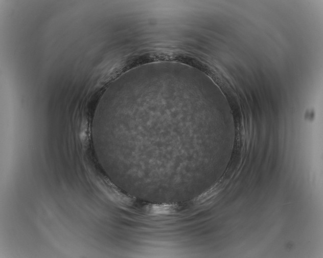 X0000090760134200707201511