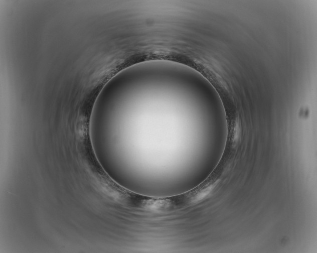 X0000090760135200707201511