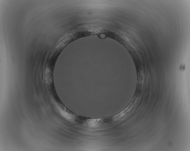 X0000090760136200707201511