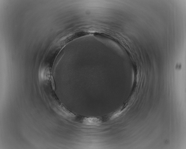 X0000090760137200707201511