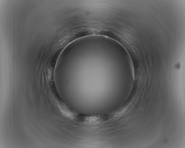 X0000090760139200707201511