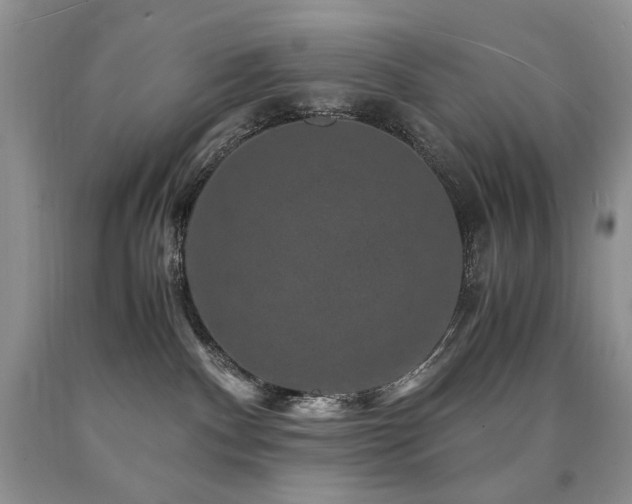 X0000090760140200707201511