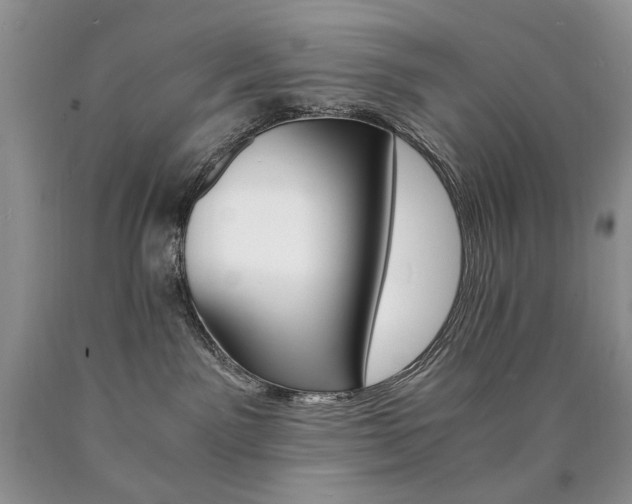 X0000090760141200707201511