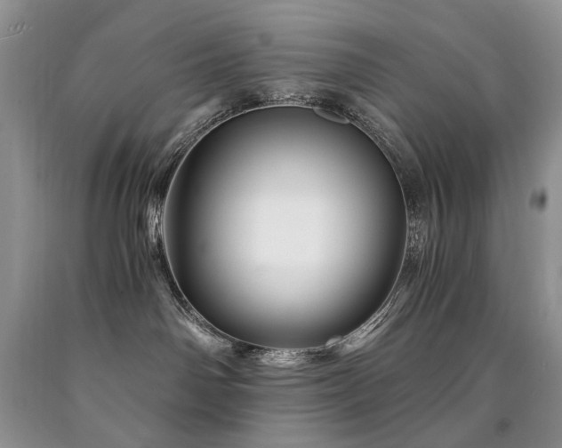 X0000090760142200707201511