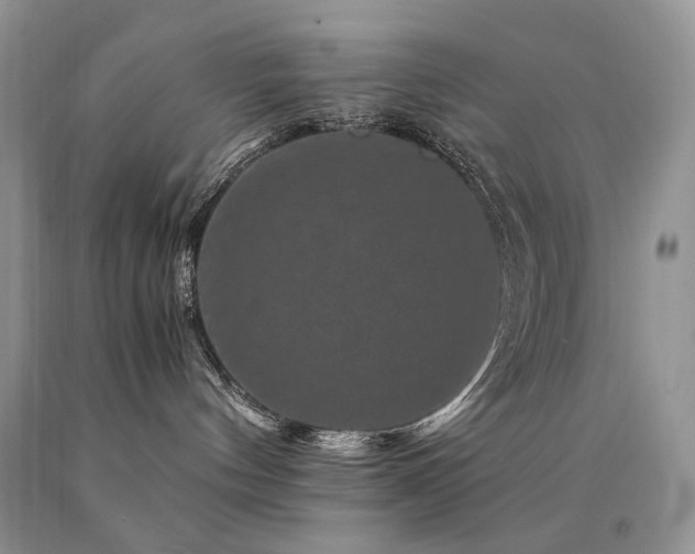 X0000090760144200707201511