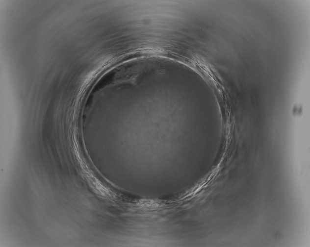 X0000090760145200707201510