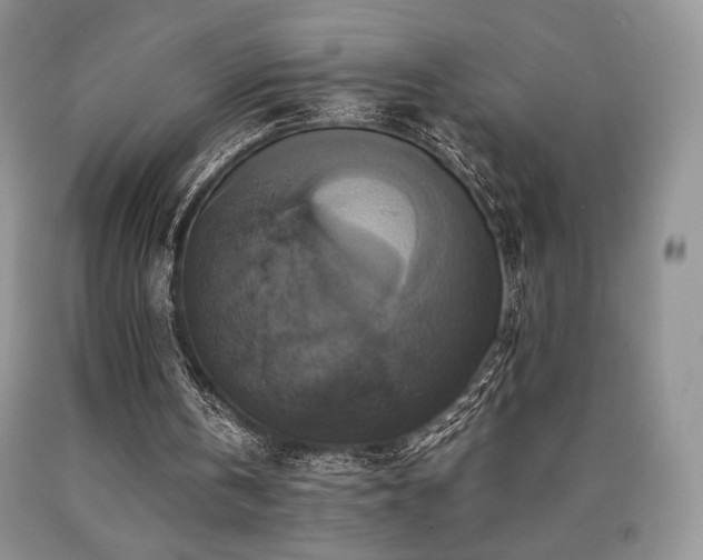 X0000090760146200707201510