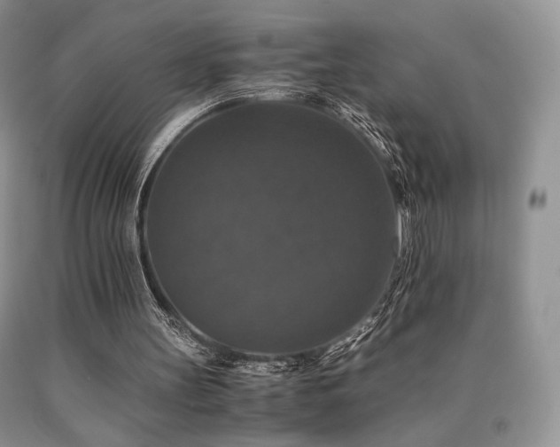 X0000090760147200707201510