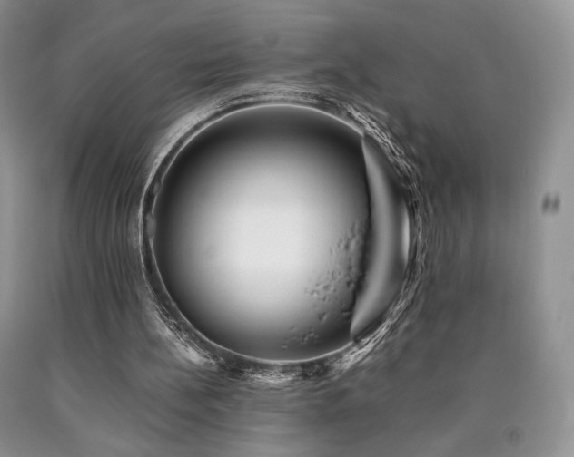 X0000090760148200707201510