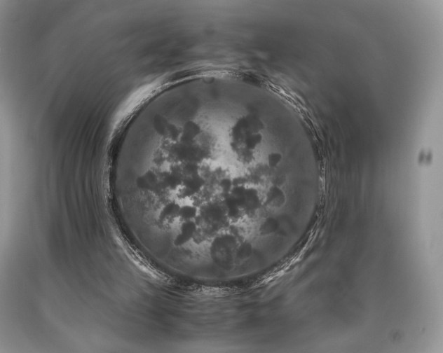 X0000090760149200707201510