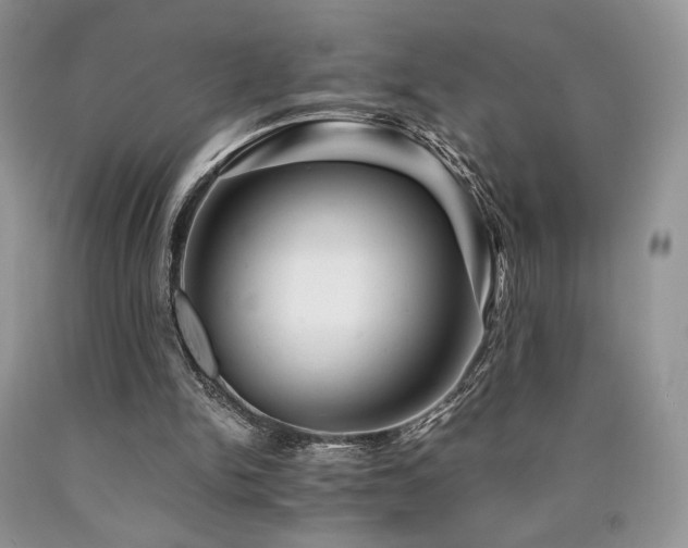 X0000090760150200707201510