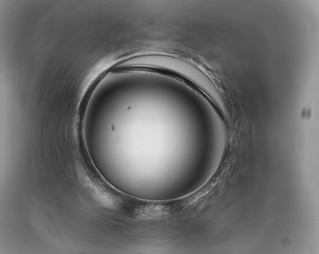 X0000090760152200707201510