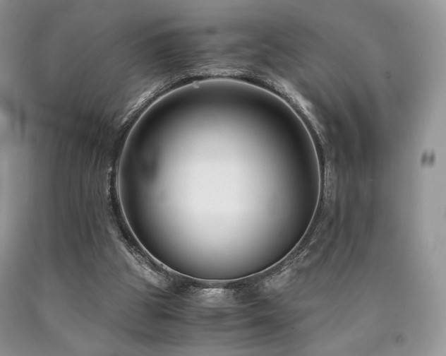 X0000090760153200707201510