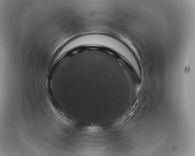 X0000090760154200707201510