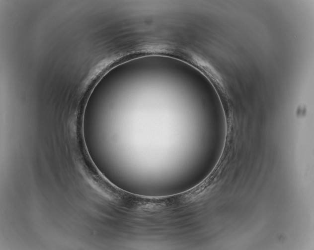 X0000090760155200707201510