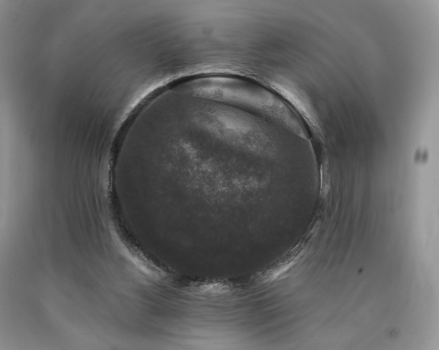 X0000090760156200707201510