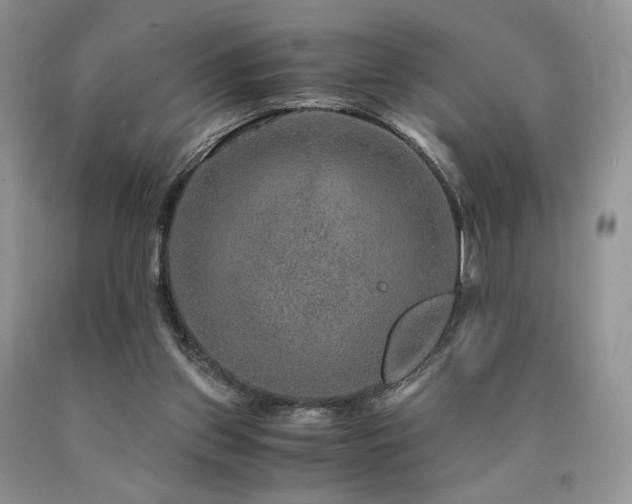 X0000090760157200707201510