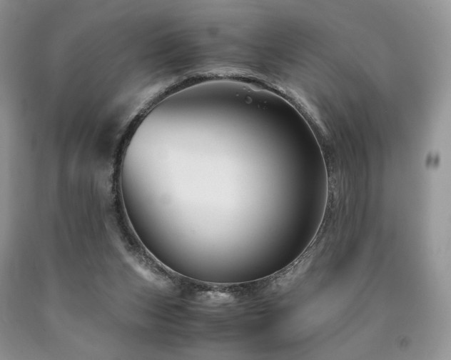 X0000090760159200707201511