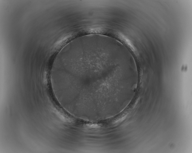 X0000090760161200707201511