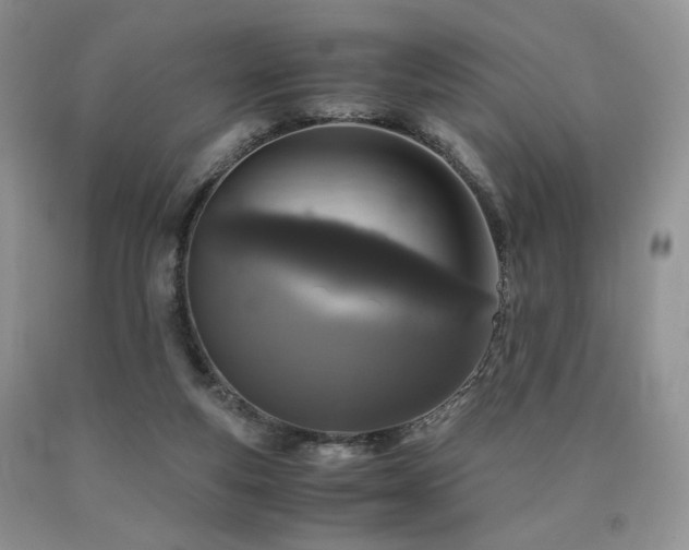 X0000090760163200707201511