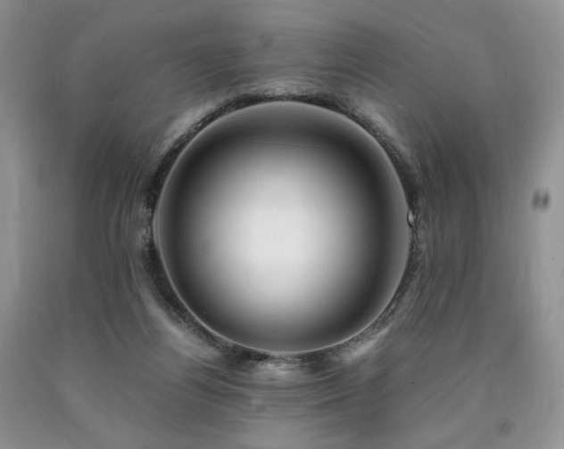 X0000090760164200707201511