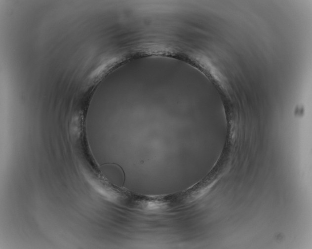 X0000090760165200707201511