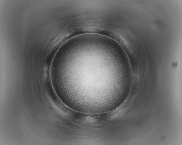 X0000090760166200707201511