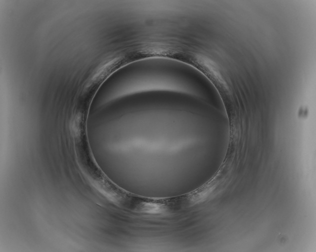 X0000090760167200707201511